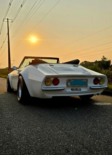 Puma GTS 1.6 Conversivel 8V Gasolina 2P Manual 1974