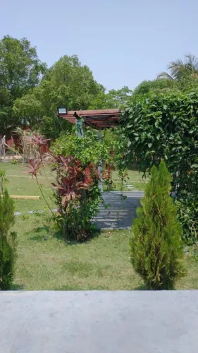Chácara para Venda em Alfredo Marcondes, CHACARA EM ALFREDO MARCONDES, 3 dormitórios, 1 su