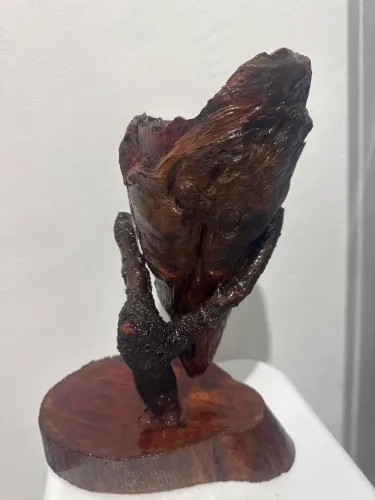 Nó de Pinho decorativo
