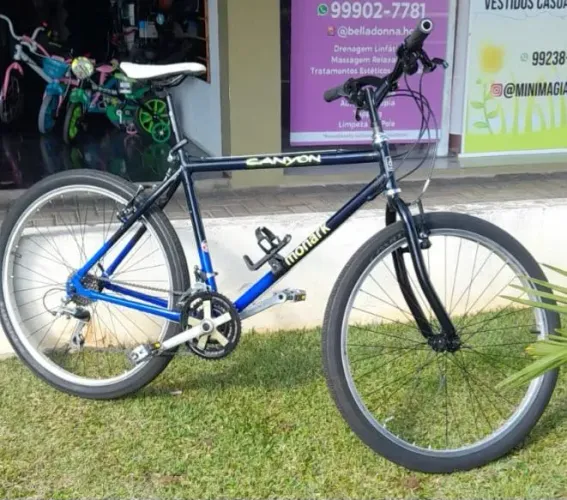 Bicicletas vintage
