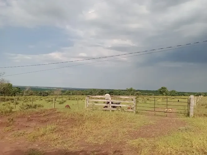 CÓD. 493 CHÁCARA À VENDA 26 KM DE CAMPO GRANDE