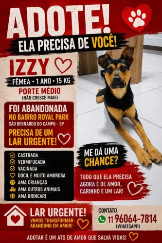 Cachorrinha Fofa para Adoção Responsável