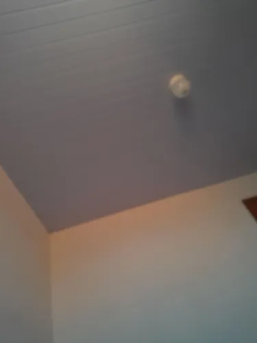 Babá disponível