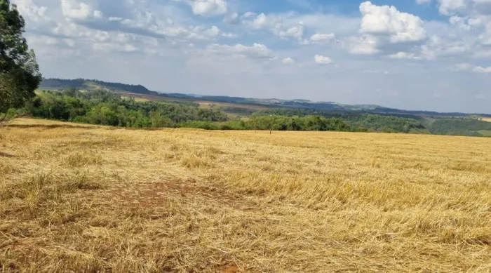 Sítio à Venda 5.2 Alqueires entre Três Barras e Boa Vista PR