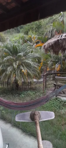 Limpeza de granjas com roçadeira 