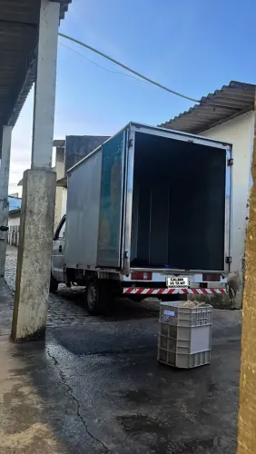 Serviços de transportes e mudanças 