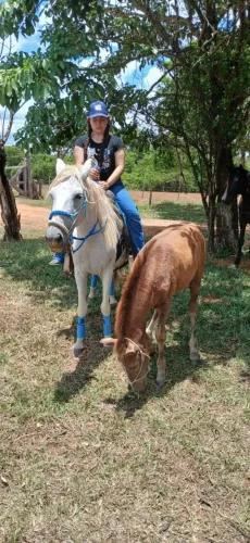 Égua domada, 11 anos, prenha, perto de parir
