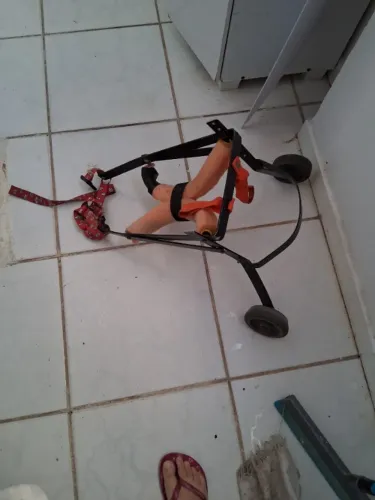 Carrinho pra cao deficiente