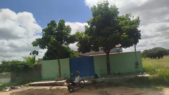 Vende - se cana no haras pé de serra 2