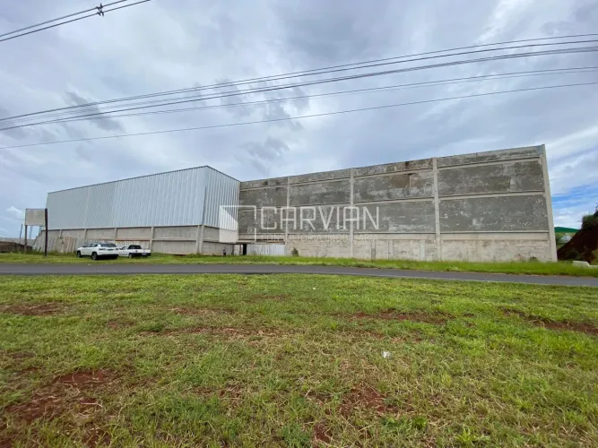 Galpão / Depósito / Armazém para venda em Ribeirão Preto SP