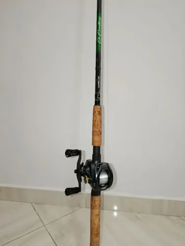 Pesca vara e carretilha