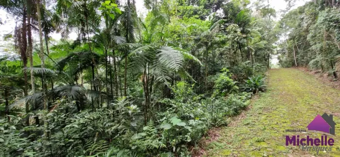 Terreno para Venda em Teresópolis, PRATA