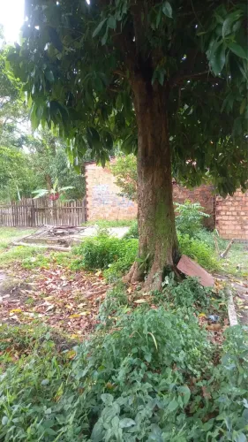 Terreno Documentado em Outeiro - Próximo da nova ponte e da Praia da Brasília!