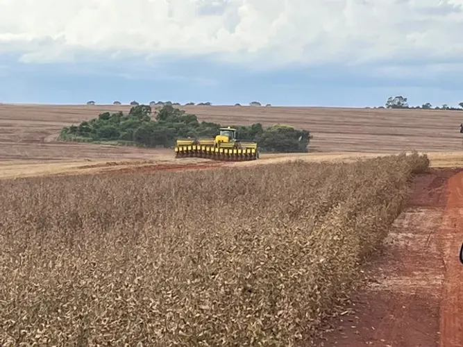 Fazenda de 870 alq paulista em Goioerê-Paraná