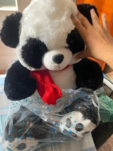 Urso de Pelúcia Novo
