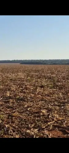 Fazenda de arrendamento 1.700hec plantando, abre mais até 4 mil