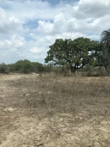 Localização privilegiada para venda três tarefas de terra