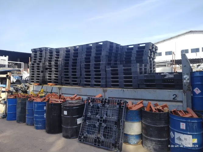 Pallets de Plástico 