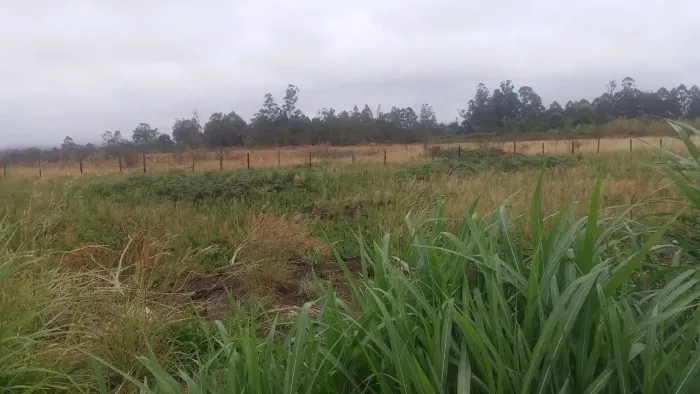 Lote 400 Metros (Ponte Alta Norte)