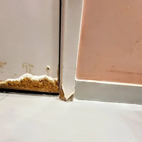 Reparos e manutenção em portas de madeira