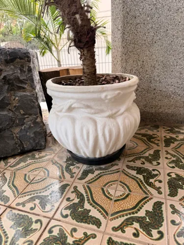 Vasos para planta grande