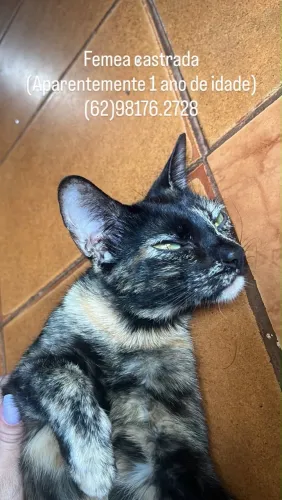 Doação urgente