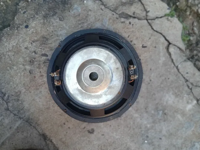 Auto falante 8 polegadas bobina dupla