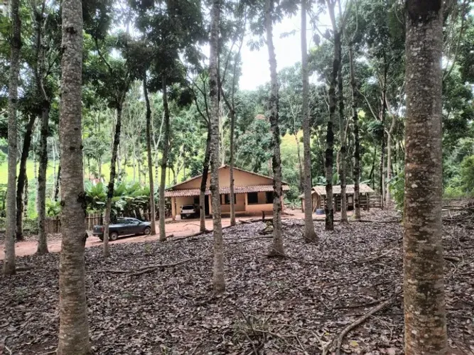 VENDE-SE SÍTIO DE 14,52 HECTARES, COM PLANTAÇÃO DE MOGNO AFRICANO (16 ANOS), EM JEQUERI-MG