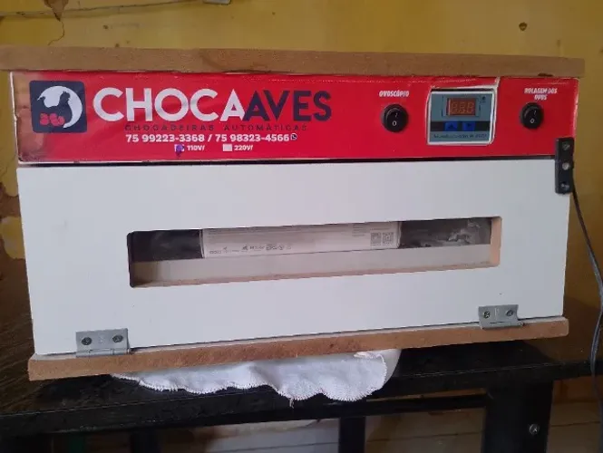 Chocadeira sem ovos