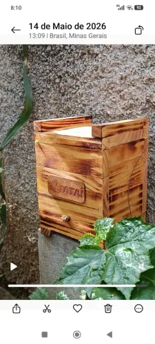 Caixa para Jataí