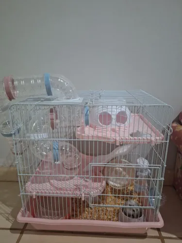 Vendo