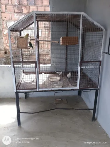 Vendo gaiola