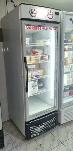 Freezer vertical sorvete 