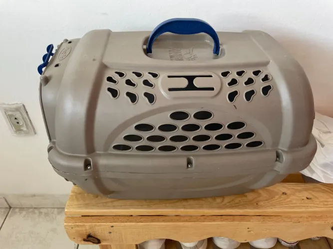 Transporte de cachorro - N° 3