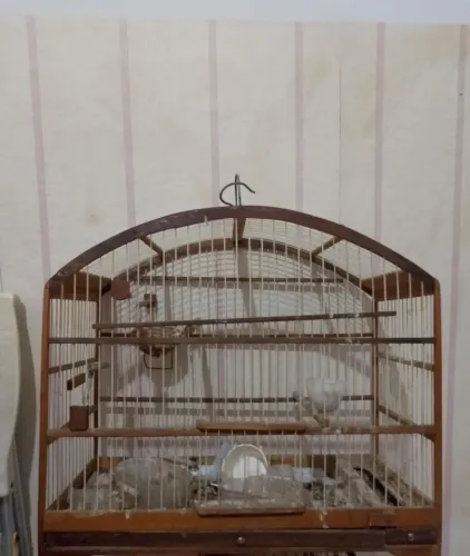 Gaiola de Passarinho Média Madeira