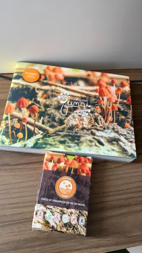 Primavera fungi- livro e jogo