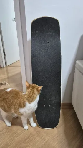 Skate Seminovo