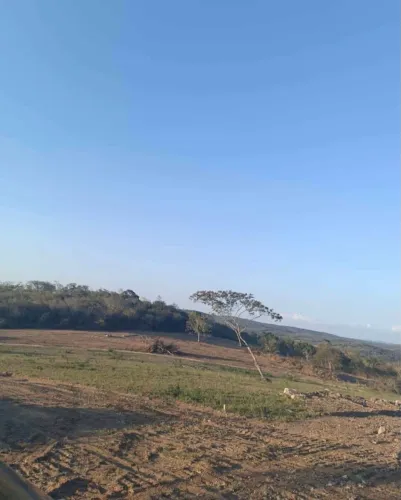 Venda