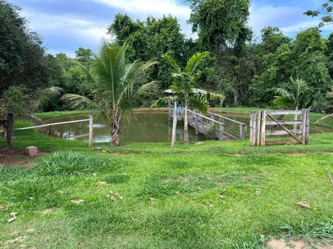 OPORTUNIDADE ÚNICA!! Fazenda de 75 hectares, semi-plana, rica em água - Leopoldo de Bulhõe
