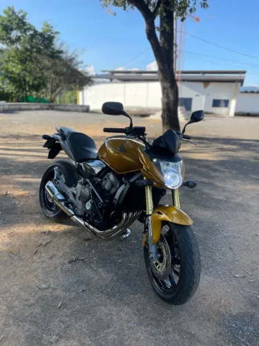 Honda hornet 