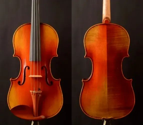 Violino 17