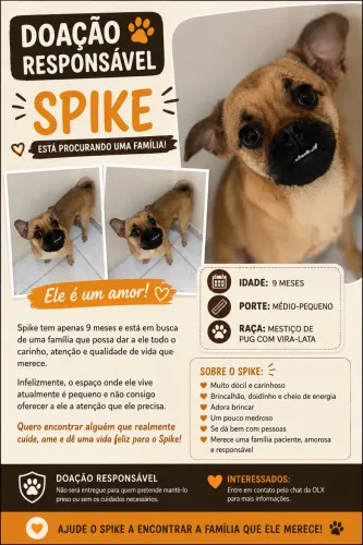 Doação responsável