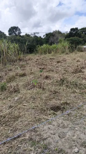 Terreno plano em ratones para alugar