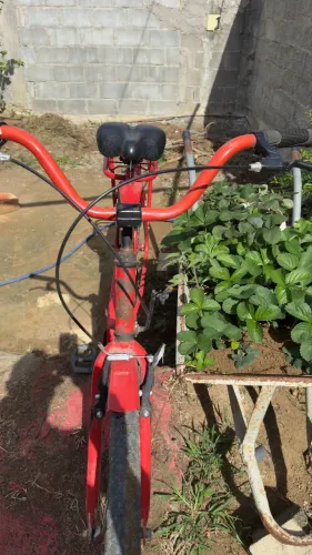 Bicicleta relíquia 