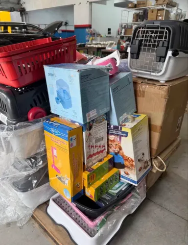Lote pets com 50% off!!! Para revendas em comércios locais?