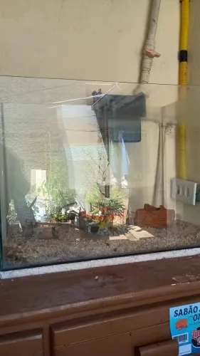 Aquário pra peixe 