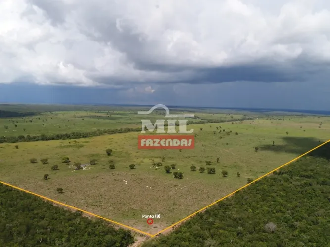 Fazenda Dupla Aptidão 276,5 alqueires (1.338,26 hectares) DUERÊ -TO