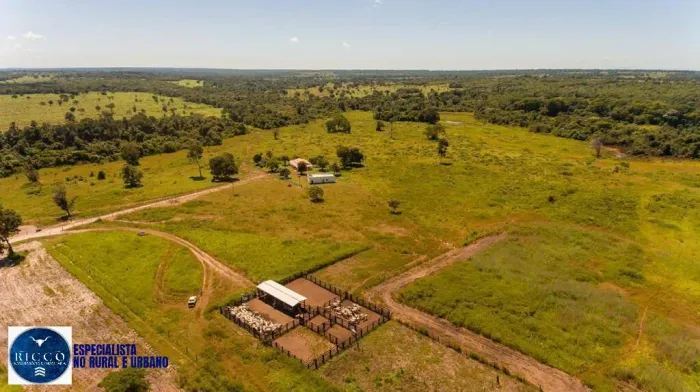 Fazenda à venda em São Miguel do Araguaia-GO | 100 alqueires
