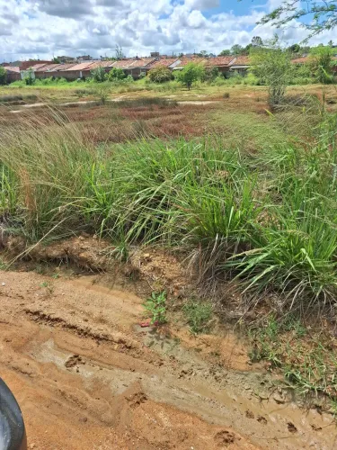 Vendo 2 terrenos em limoeiro medindo 8x 20 metros pronto para construir bem habitado 