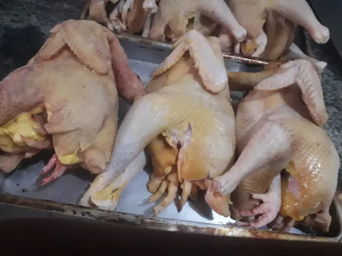 Frango e galinha Caipira